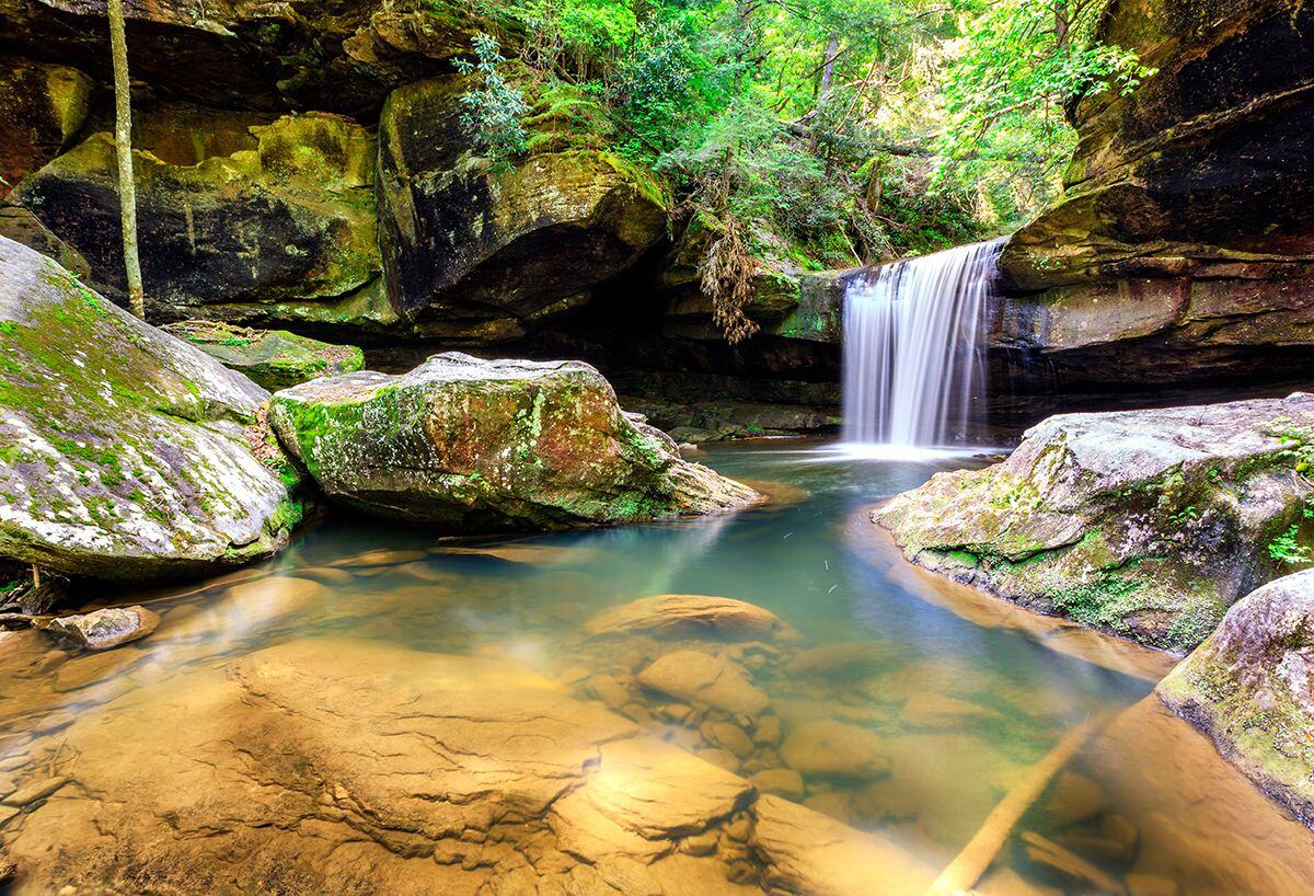 kentuckys-dog-slaughter-mystery-springs