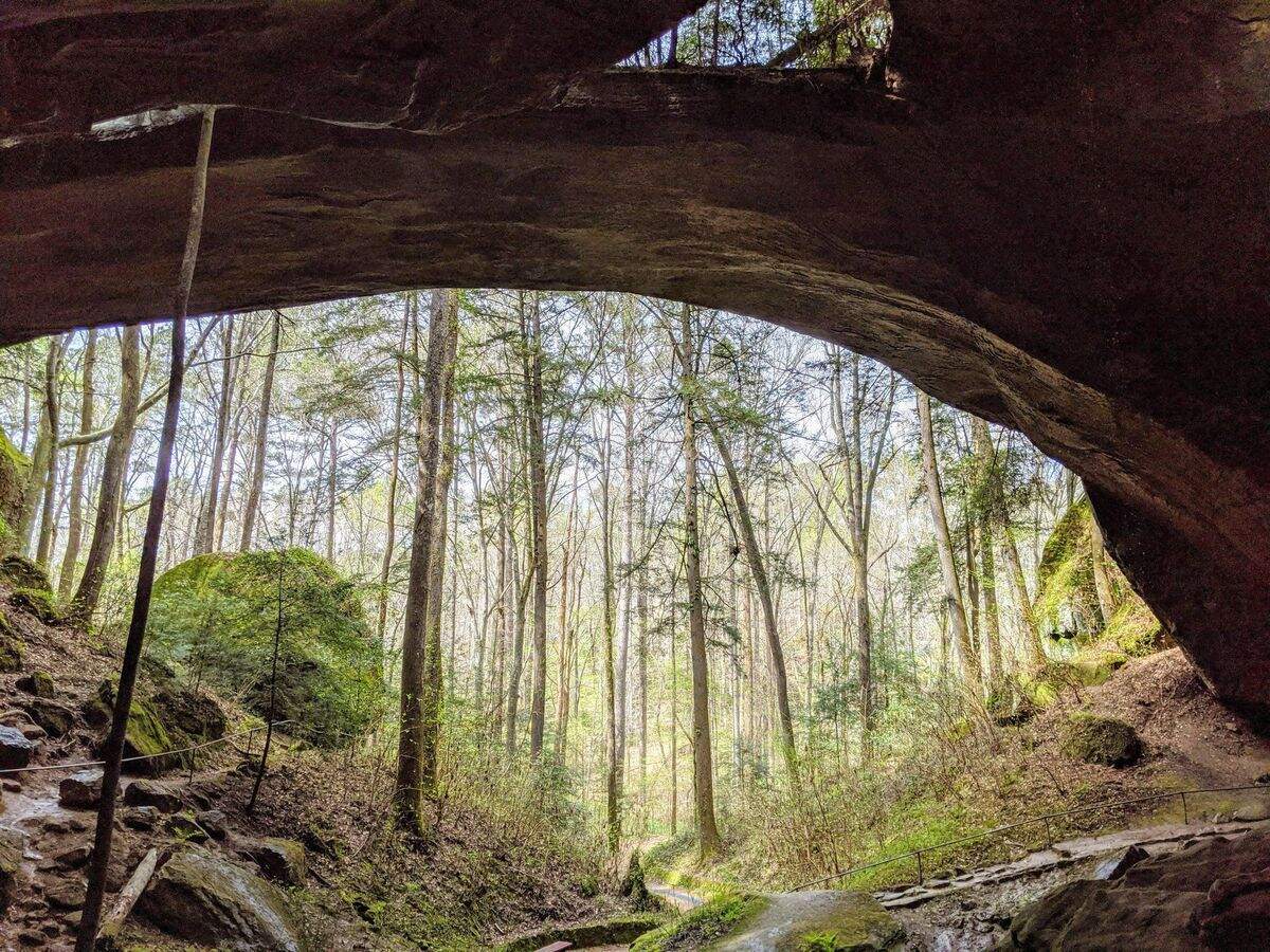 Mysteries-Behind-Alabama8217s-Natural-Bridge mysteries-behind-alabamas-natural-bridge