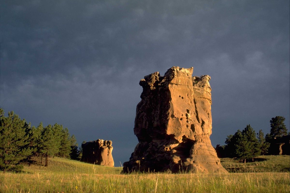 mysteries-behind-montanas-medicine-tree