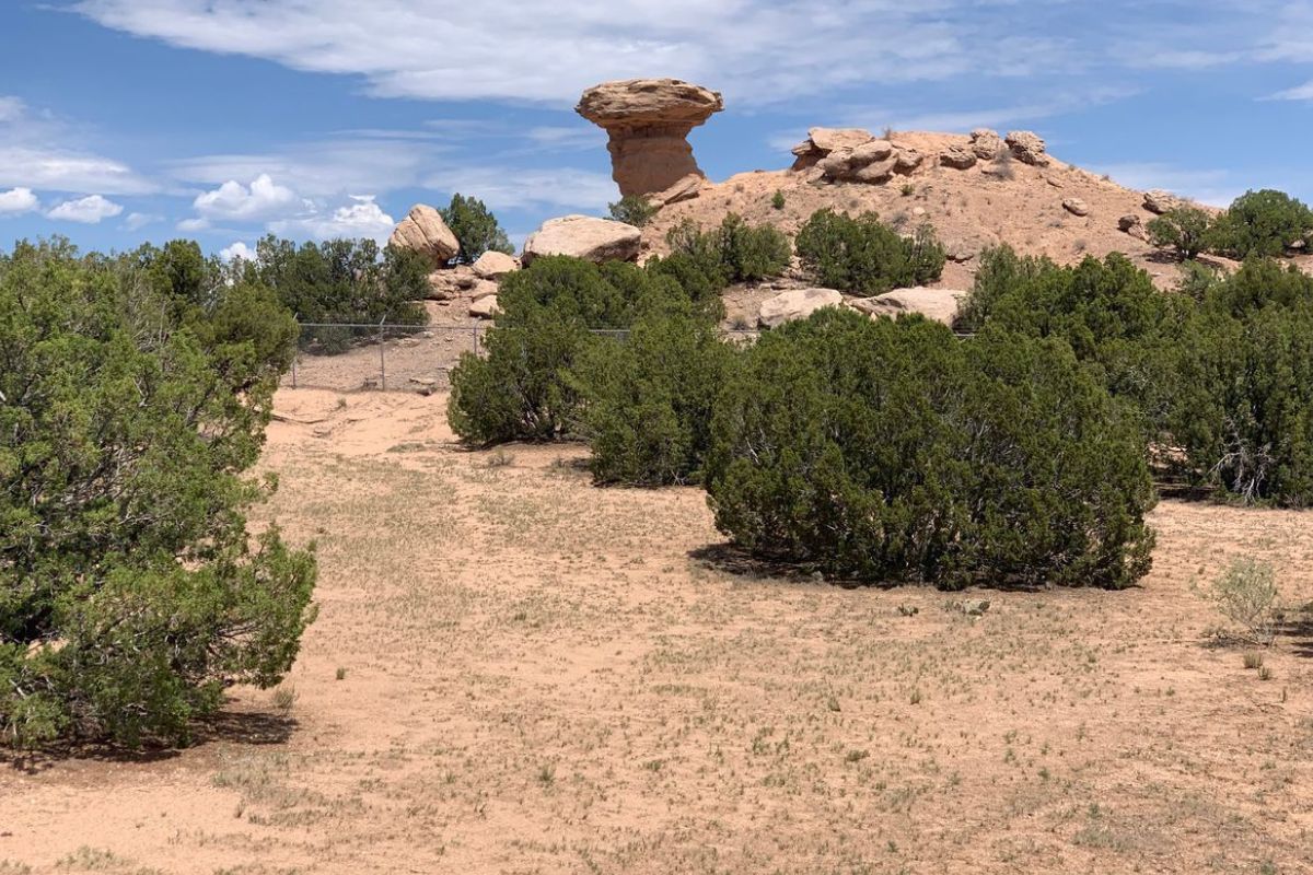 mysteries-behind-new-mexicos-camel-rock