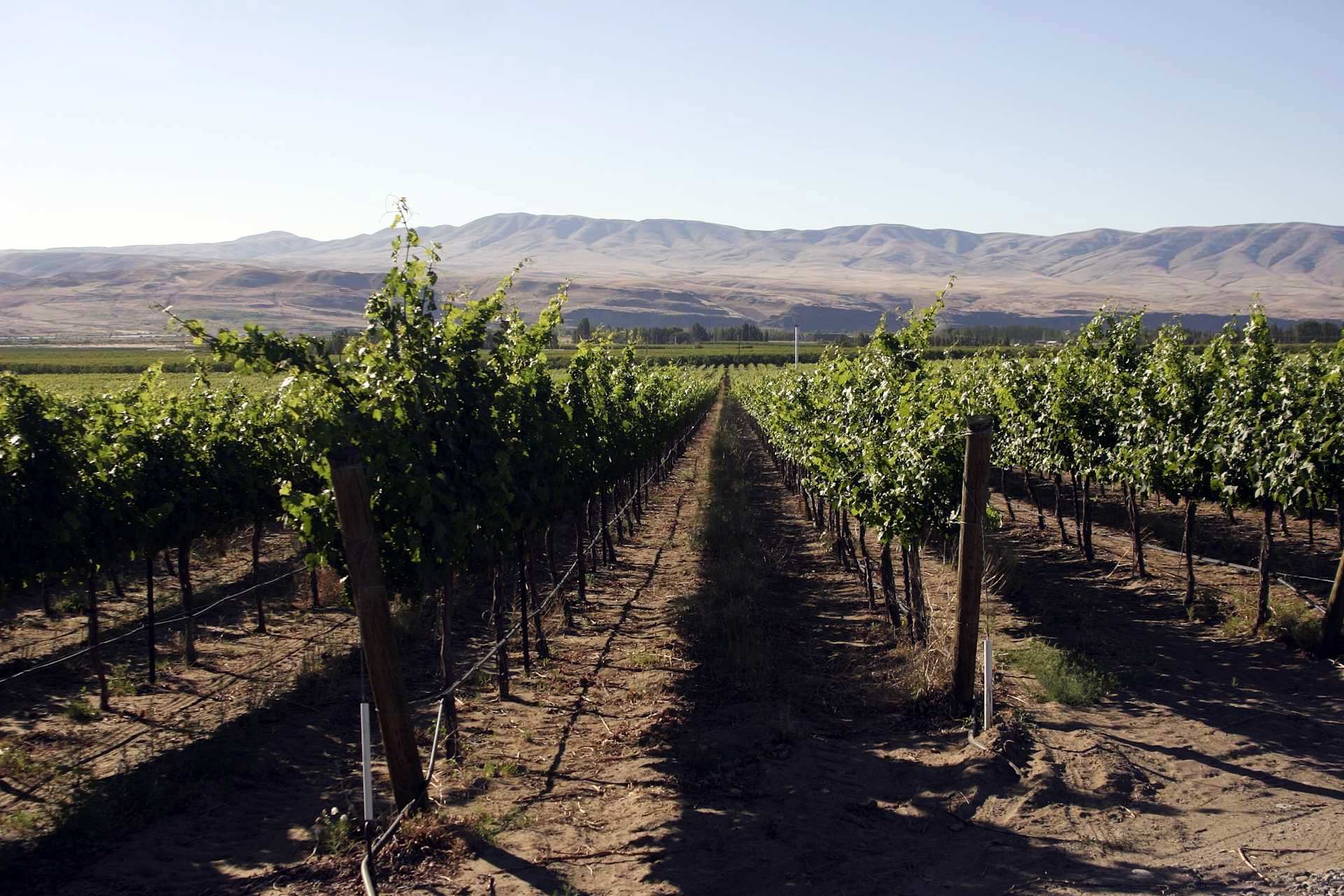 mysteries-behind-washingtons-mullan-road