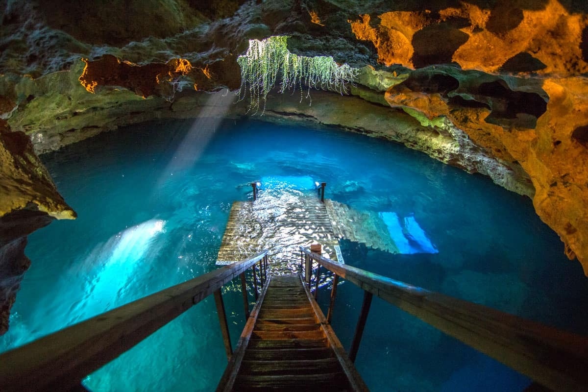 Mysteries-Beneath-Florida8217s-Devil8217s-Den mysteries-beneath-floridas-devils-den