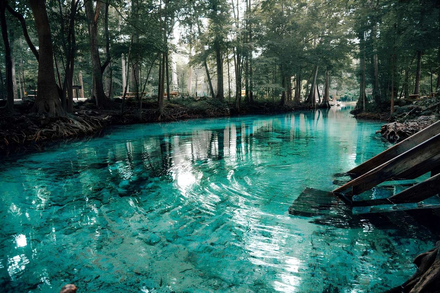 mysteries-beneath-floridas-ginnie-springs