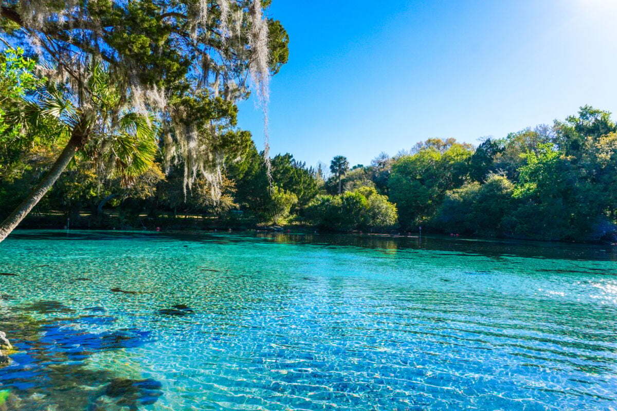 mysteries-beneath-floridas-silver-glen