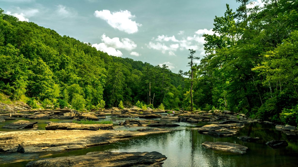 Mysteries-Beneath-Georgia8217s-Sweetwater-Creek mysteries-beneath-georgias-sweetwater-creek
