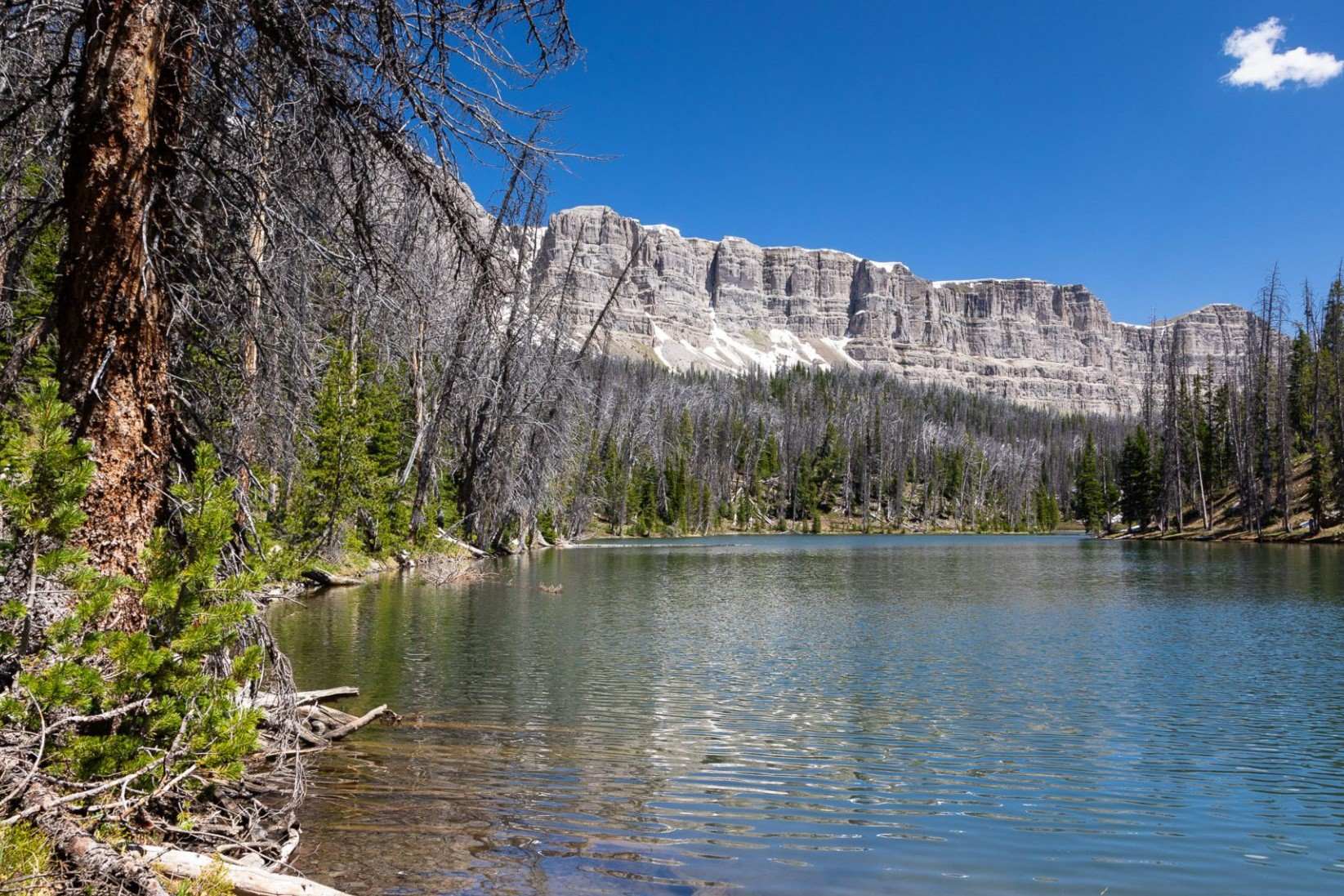 Mysteries-Beneath-Wyoming8217s-Jade-Lake mysteries-beneath-wyomings-jade-lake