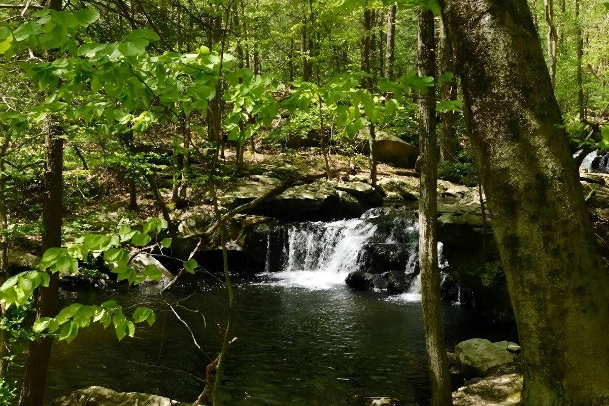 Mysteries-Hidden-In-Apshawa-Falls mysteries-hidden-in-apshawa-falls