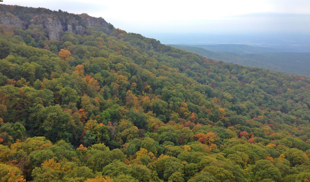 Mysteries-Hidden-In-Arkansas8217-Magazine-Mountain mysteries-hidden-in-arkansas-magazine-mountain