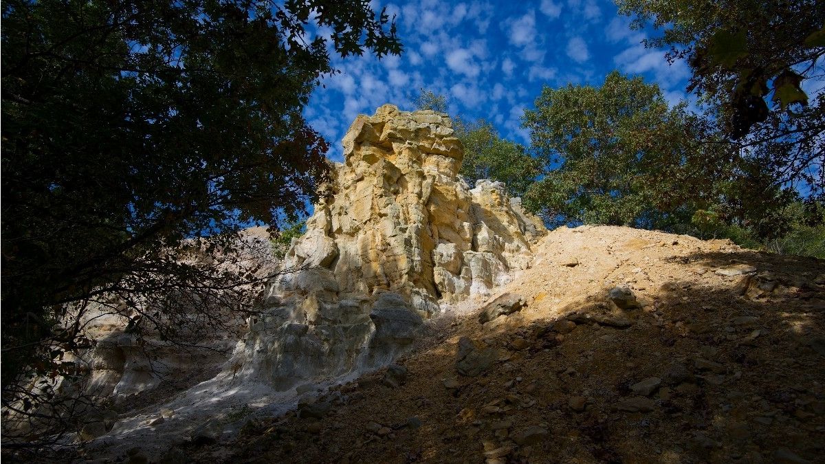 Mysteries-Hidden-In-Buffalo-Rock mysteries-hidden-in-buffalo-rock