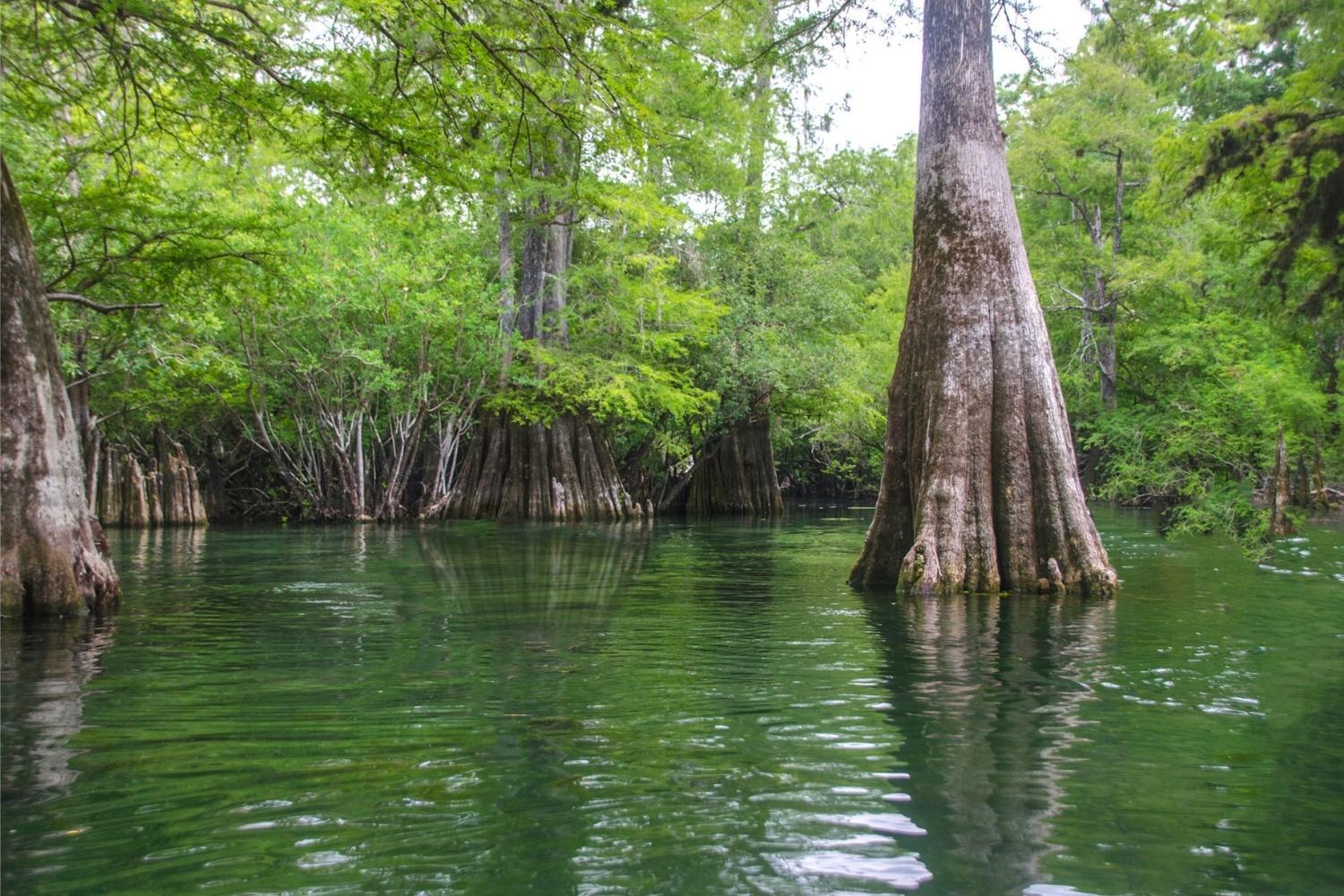 mysteries-hidden-in-floridas-rock-bluff