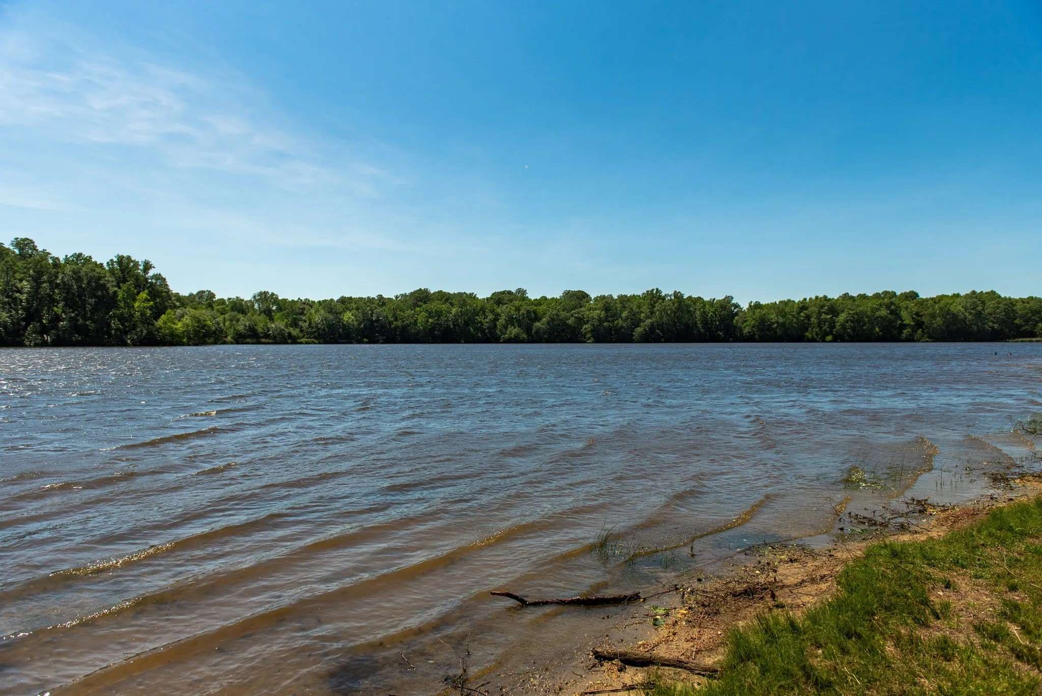 mysteries-hidden-in-lums-pond