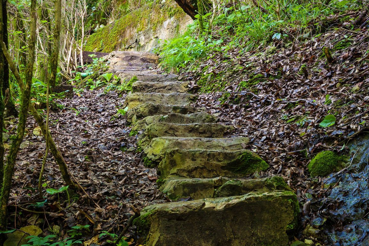 mysteries-hidden-in-ohios-conkles-hollow