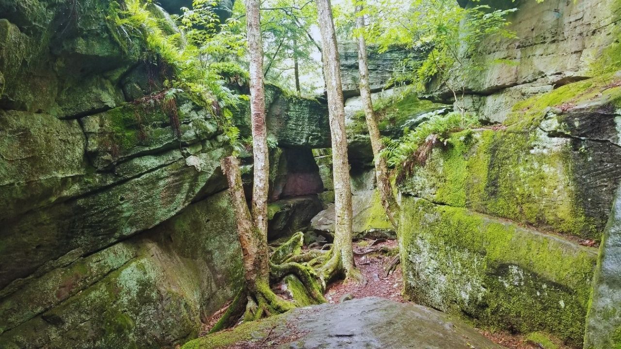 Mysteries-Hidden-In-Pennsylvania8217s-Bilger-Rocks mysteries-hidden-in-pennsylvanias-bilger-rocks