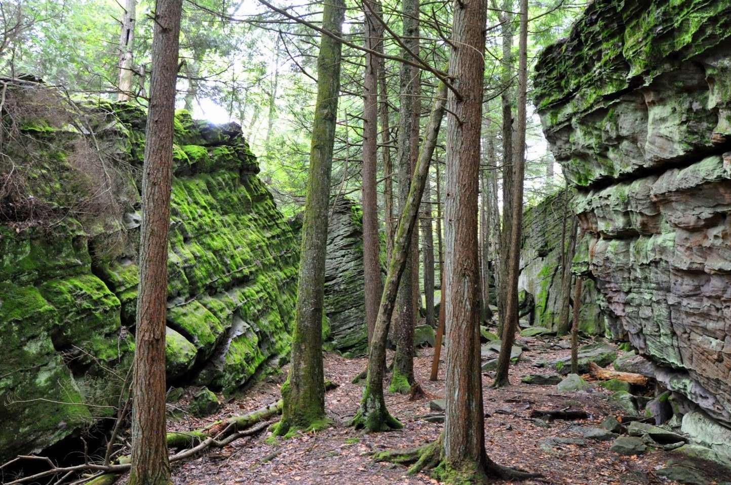 Mysteries-Hidden-In-Pennsylvania8217s-Bilger8217s-Rocks mysteries-hidden-in-pennsylvanias-bilgers-rocks