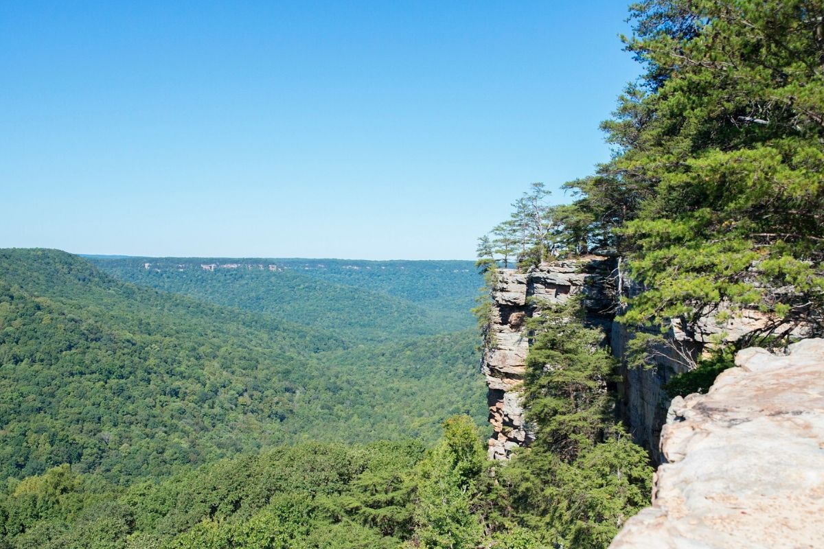 Mysteries-Hidden-In-Tennessee8217s-Savage-Gulf mysteries-hidden-in-tennessees-savage-gulf