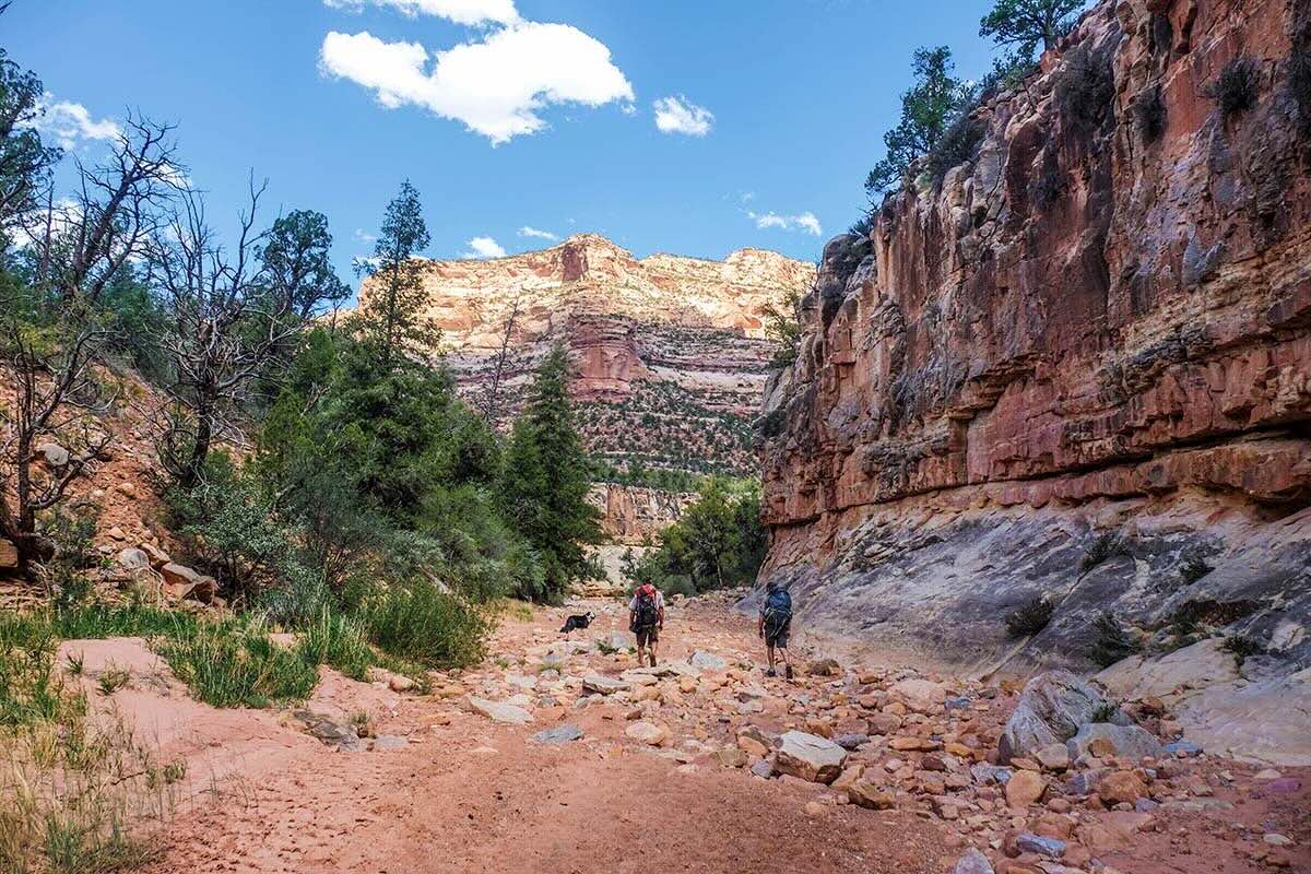 Mysteries-Hidden-In-Utah8217s-Dark-Canyon mysteries-hidden-in-utahs-dark-canyon