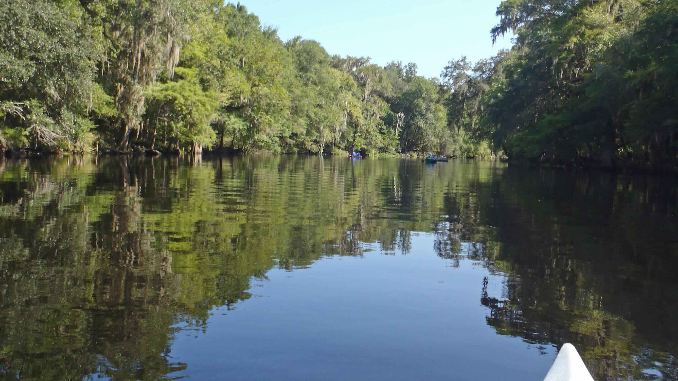 Mysteries-Inside-Florida8217s-River-Rise mysteries-inside-floridas-river-rise