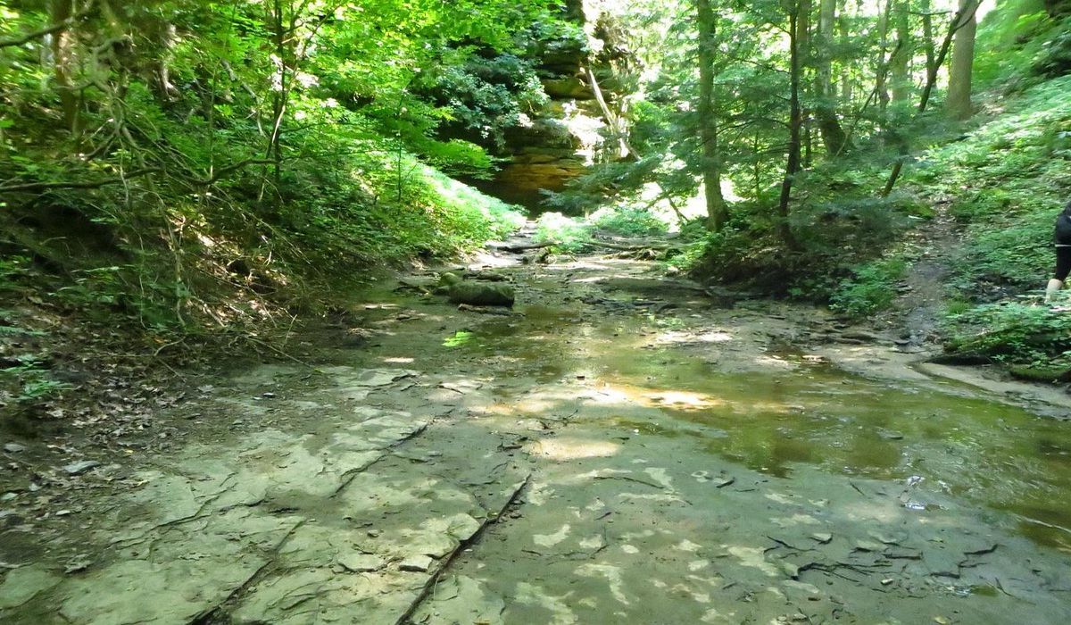 Mysteries-Inside-Indiana8217s-Shades-State-Park mysteries-inside-indianas-shades-state-park