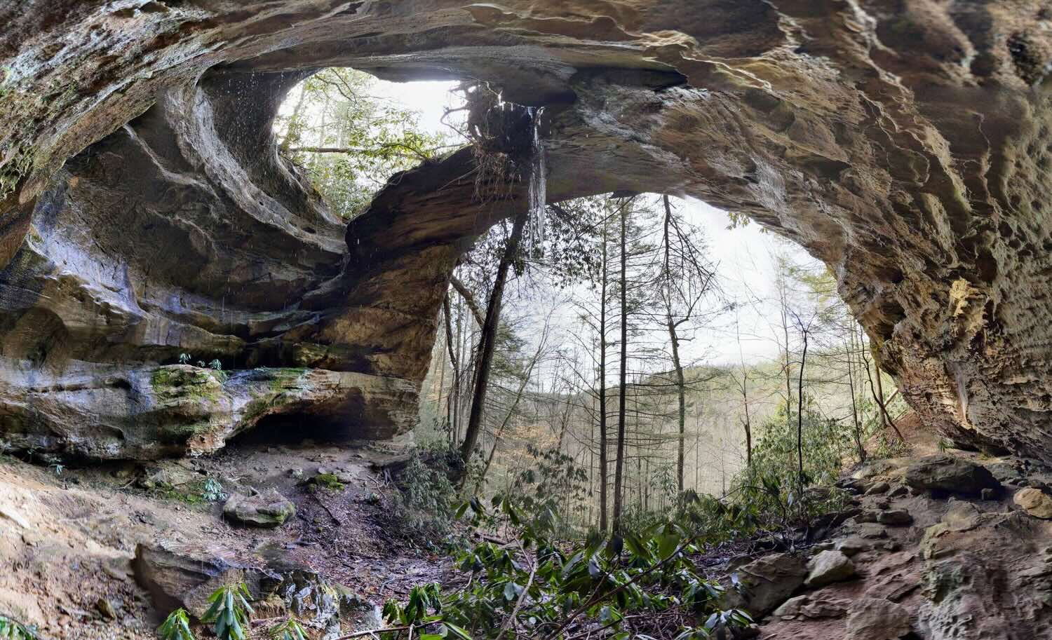 Mysteries-Inside-Kentucky8217s-Pioneer-Cave mysteries-inside-kentuckys-pioneer-cave