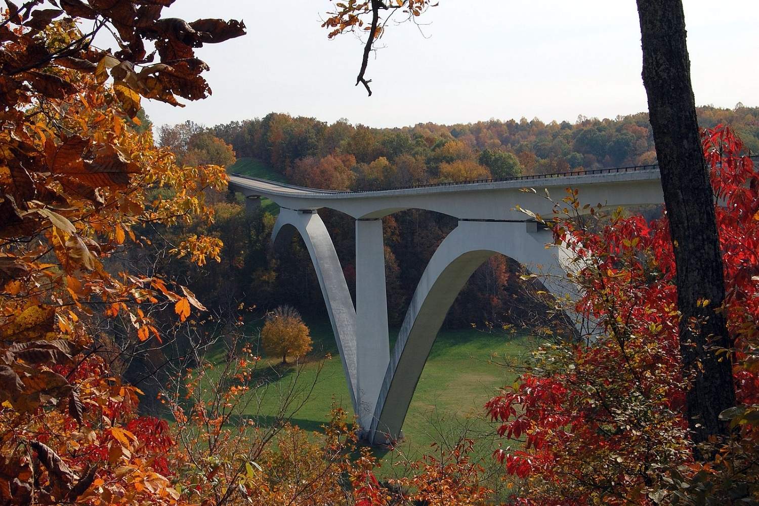 Mysteries-Inside-Mississippi8217s-Natchez-Trace mysteries-inside-mississippis-natchez-trace