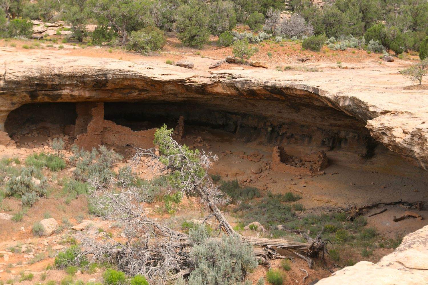 mysteries-inside-nevadas-spirit-cave