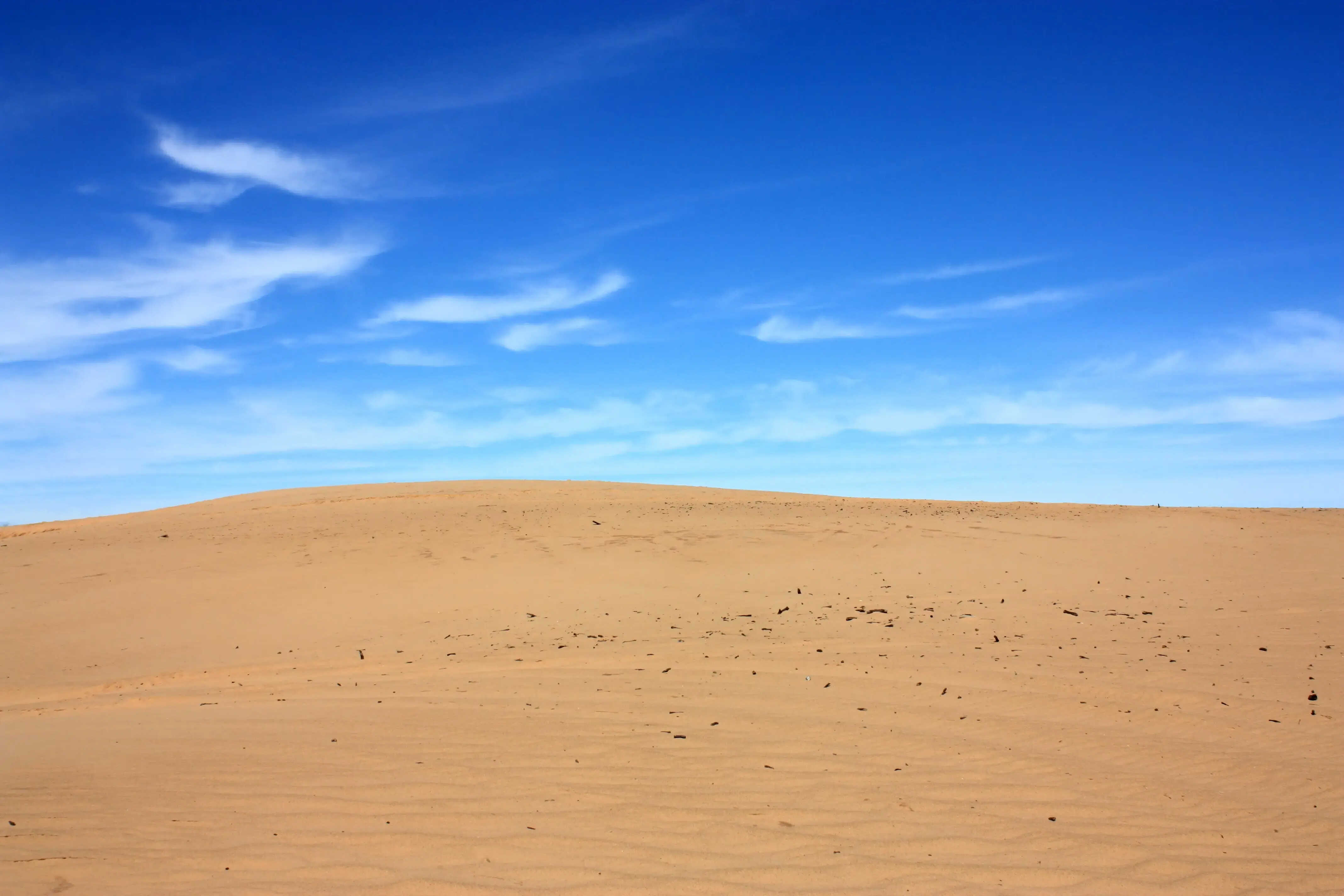 Mysteries-Inside-Oklahoma8217s-Little-Sahara mysteries-inside-oklahomas-little-sahara