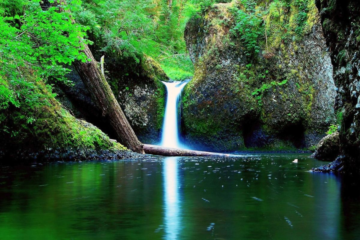 mysteries-inside-oregons-eagle-creek