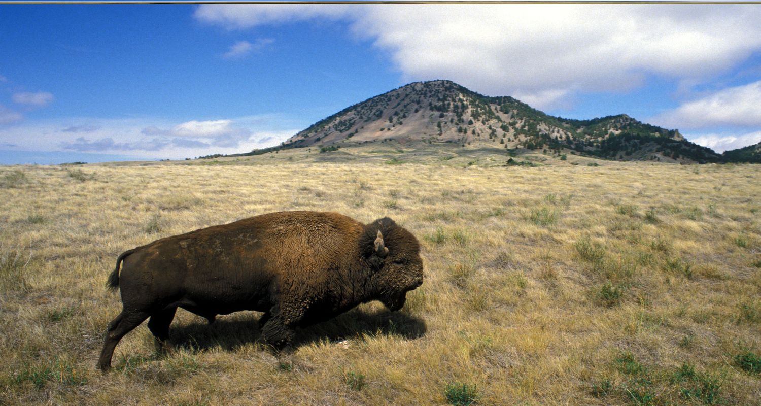 Mysteries-Inside-South-Dakota8217s-Bear-Butte mysteries-inside-south-dakotas-bear-butte
