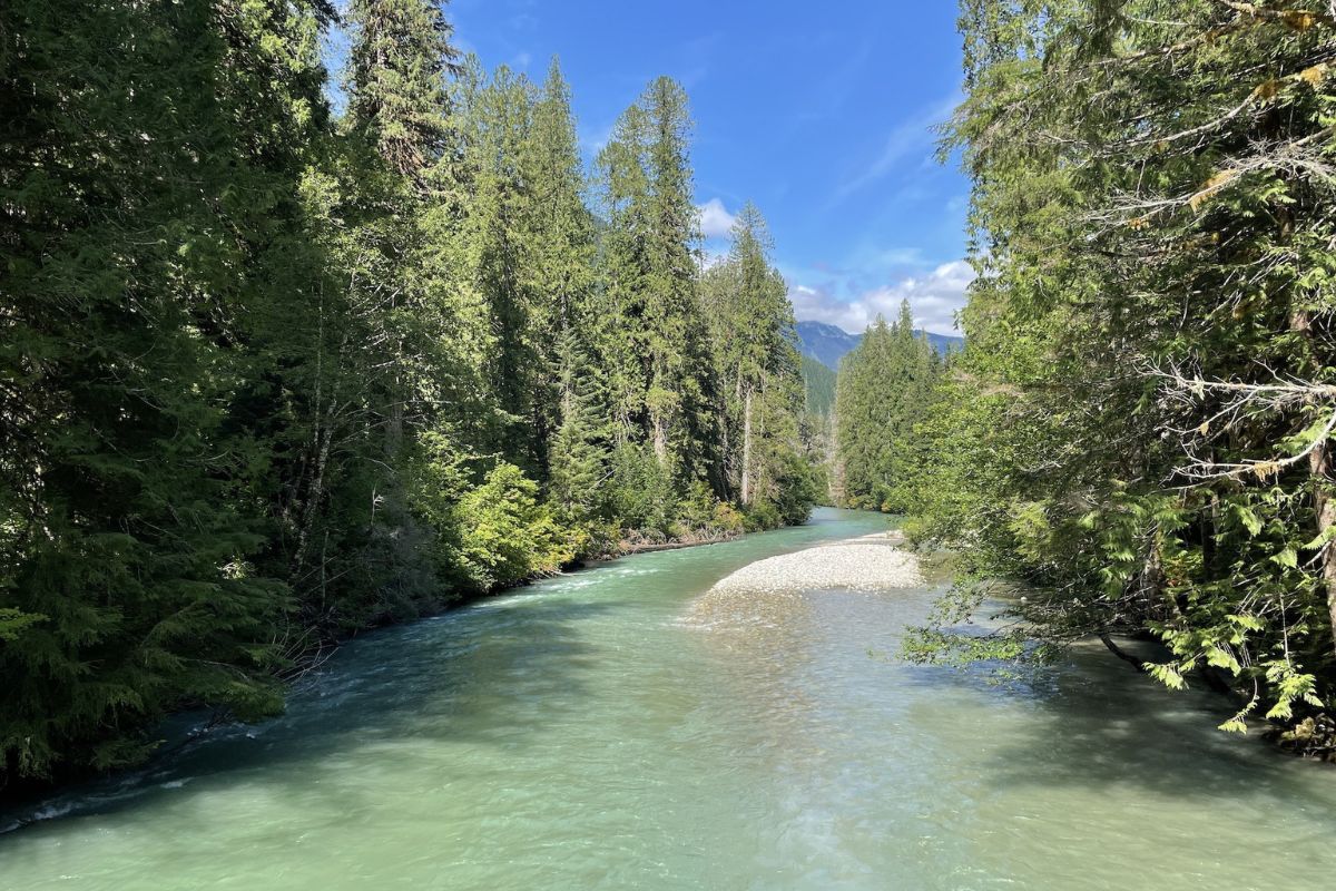 Mysteries-Inside-Washington8217s-Thunder-Creek mysteries-inside-washingtons-thunder-creek