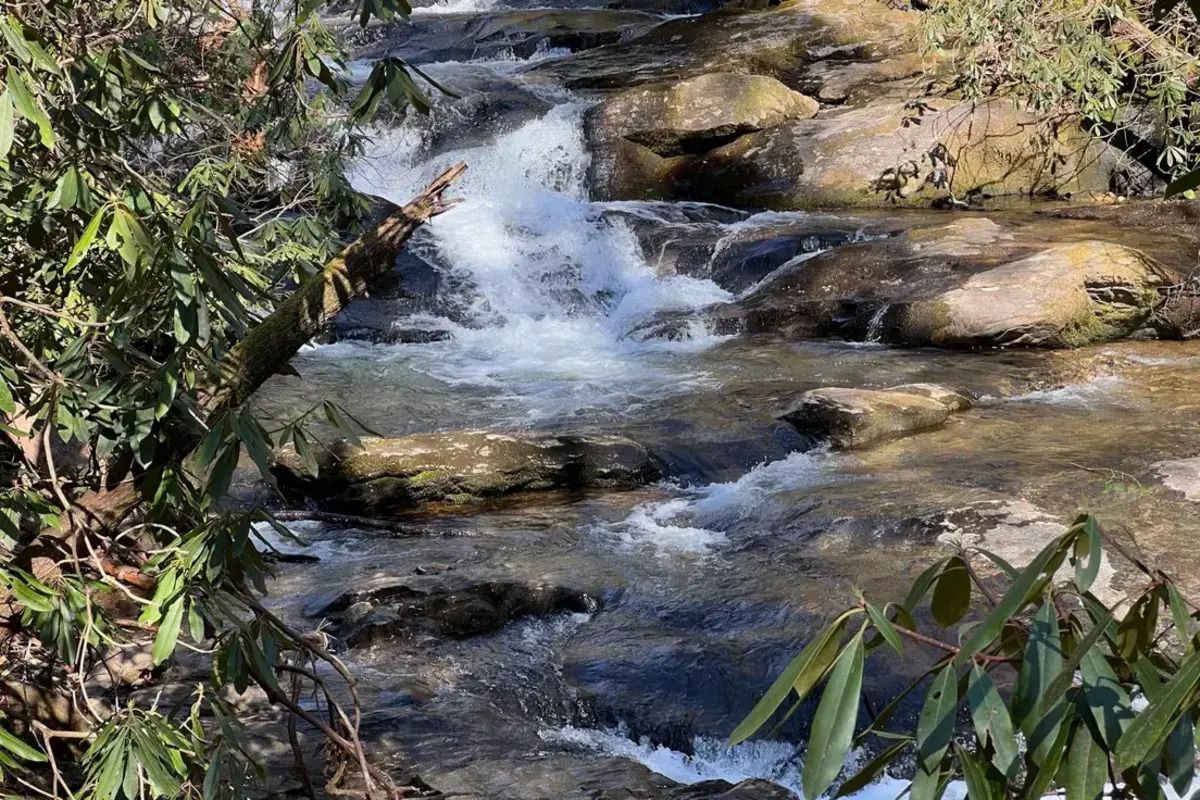 Mysteries-Of-Alabama8217s-Bee-Branch-Canyon mysteries-of-alabamas-bee-branch-canyon