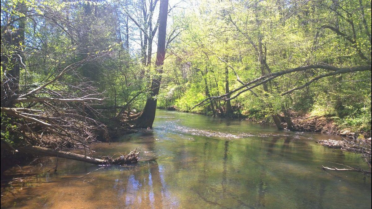 mysteries-of-alabamas-indian-creek