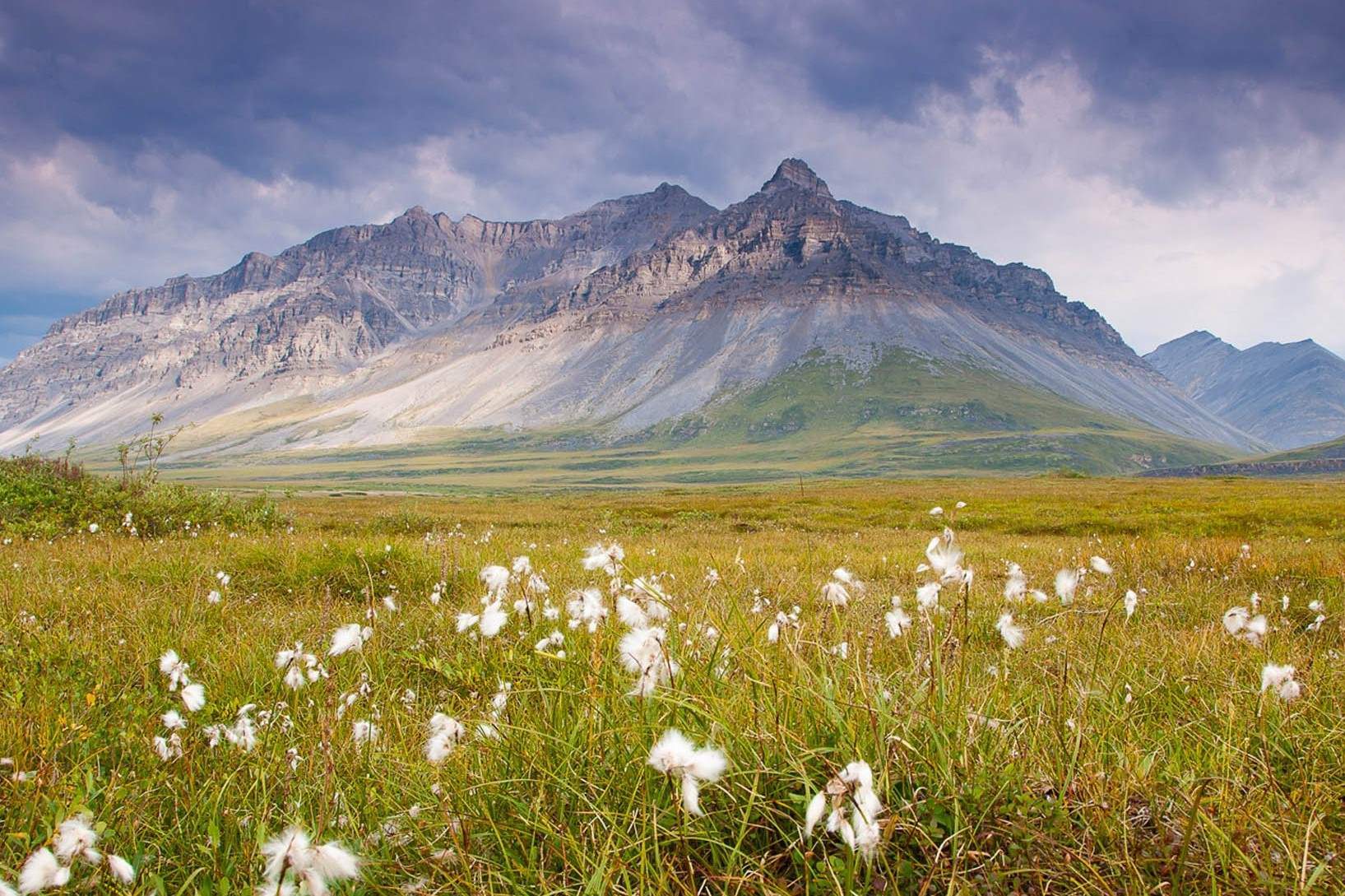 Mysteries-Of-Alaska8217s-Brooks-Range-Springs mysteries-of-alaskas-brooks-range-springs