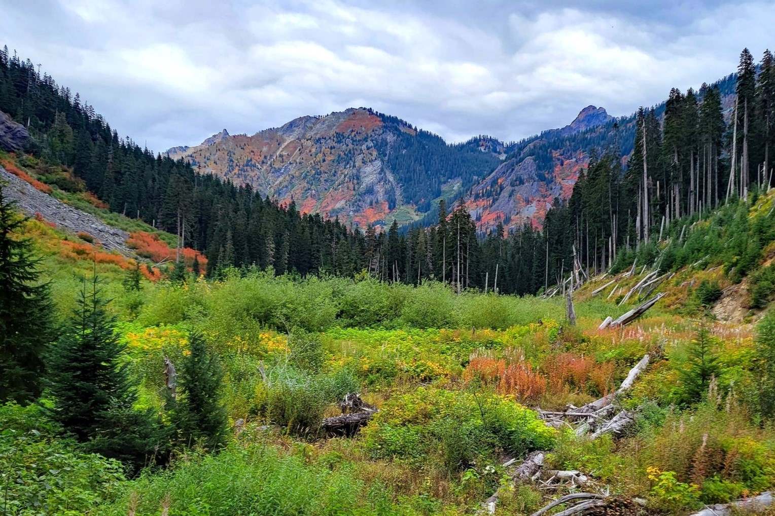 mysteries-of-alaskas-gold-creek