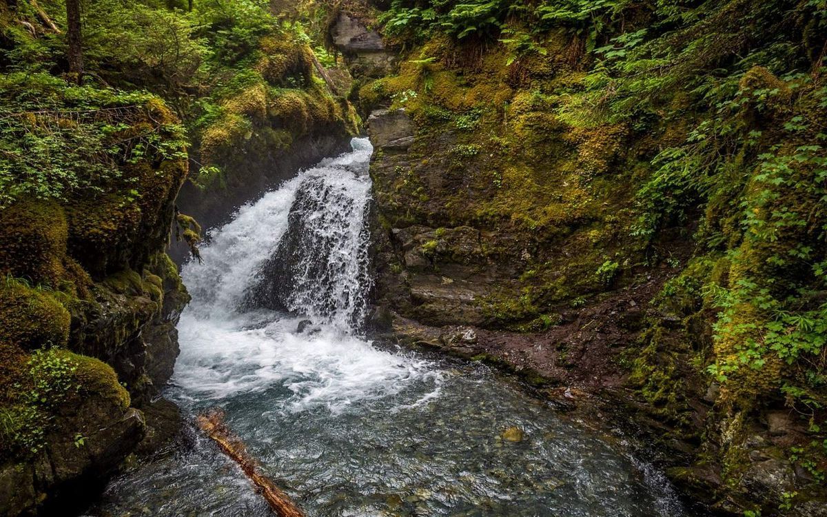 mysteries-of-alaskas-virgin-creek