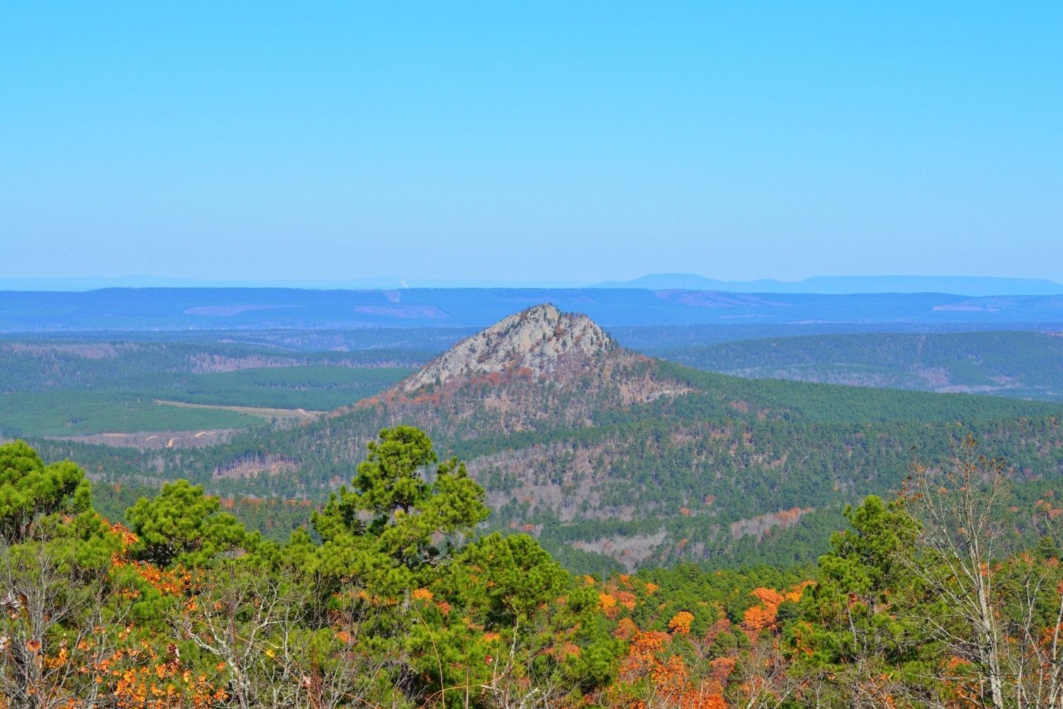 Mysteries-Of-Arkansas8217-Flatside-Wilderness mysteries-of-arkansas-flatside-wilderness