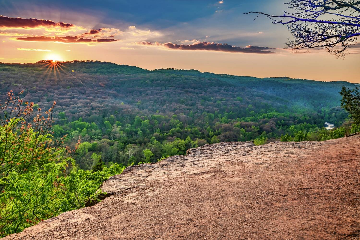 Mysteries-Of-Arkansas8217-Yellow-Rock-Trails mysteries-of-arkansas-yellow-rock-trails