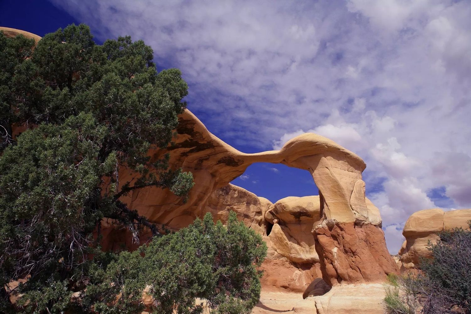 mysteries-of-californias-devils-garden