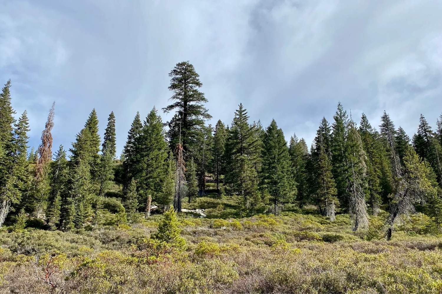 mysteries-of-californias-devils-gulch