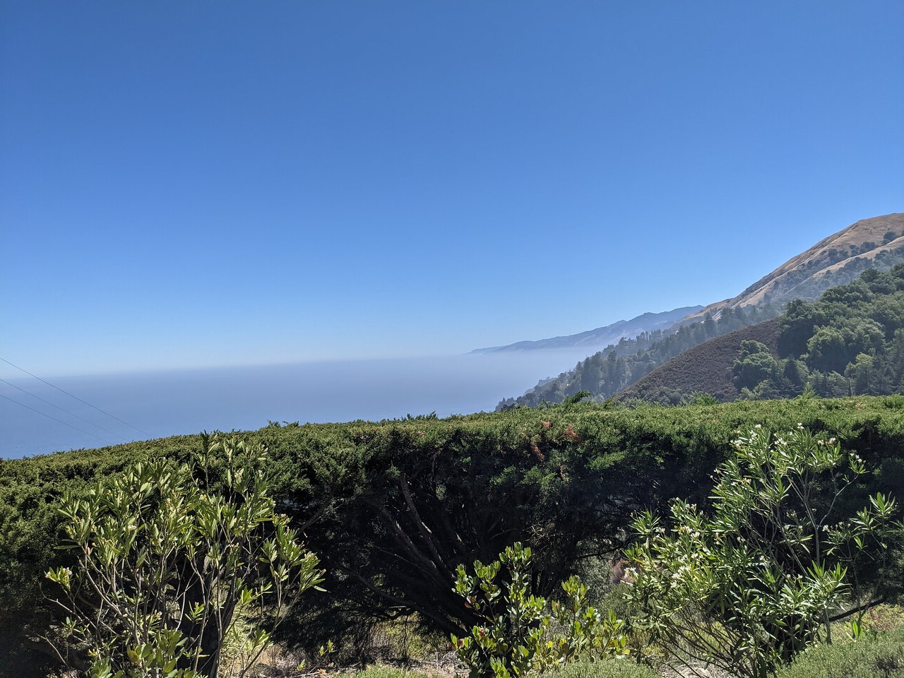 mysteries-of-californias-ventana