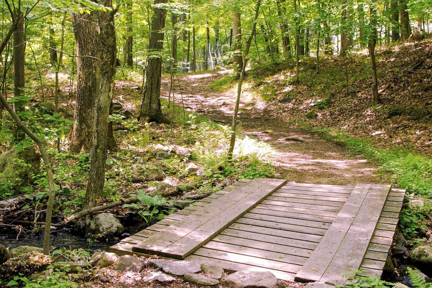 Mysteries-Of-Connecticut8217s-Devils-Den-Trails mysteries-of-connecticuts-devils-den-trails