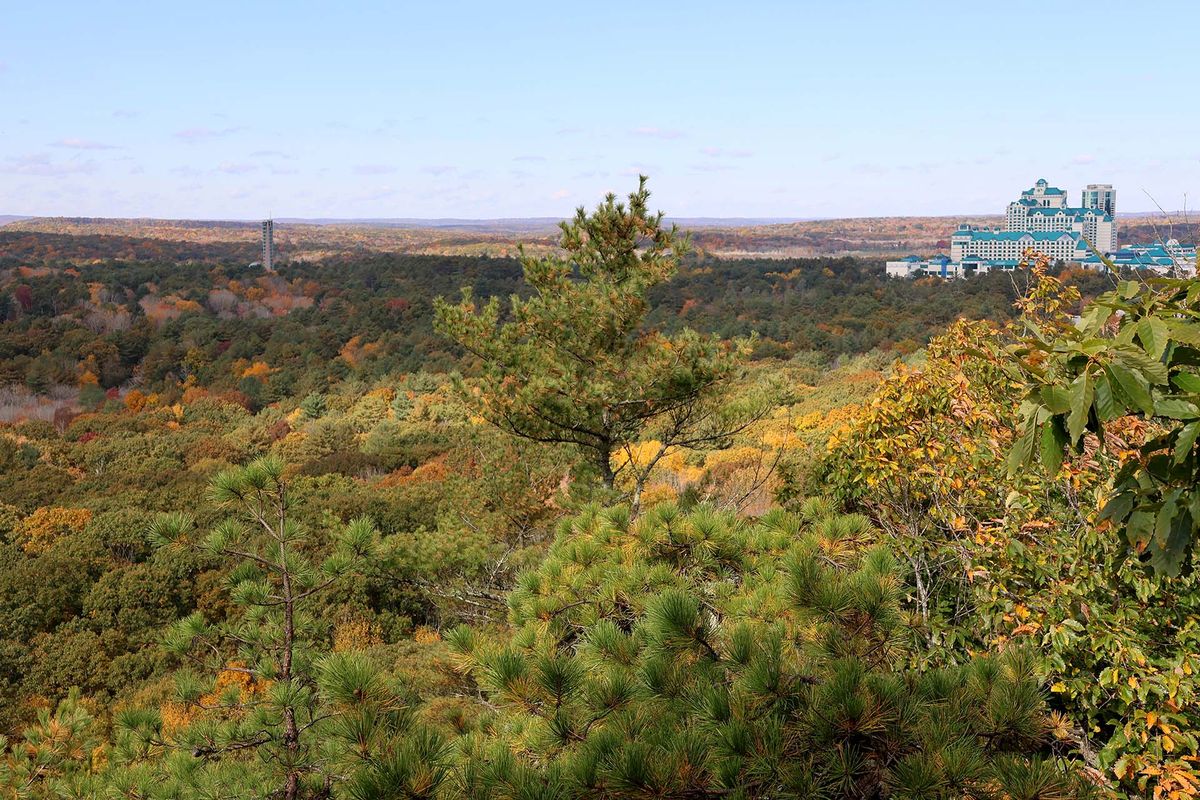 mysteries-of-connecticuts-lantern-hill