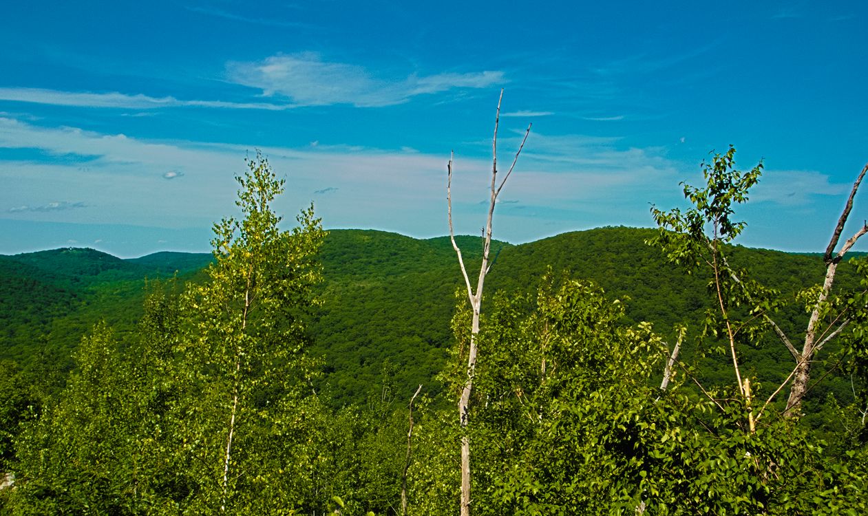 mysteries-of-connecticuts-macedonia-springs