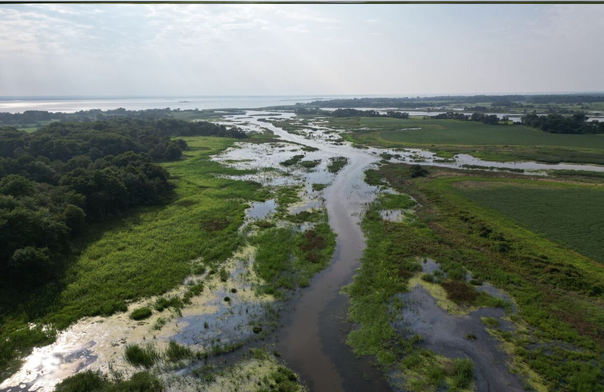 Mysteries-Of-Delaware8217s-Augustine-Creek mysteries-of-delawares-augustine-creek