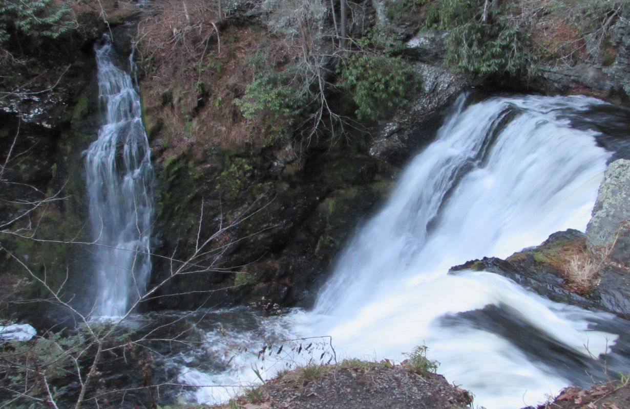 mysteries-of-delawares-spring-cove-waters