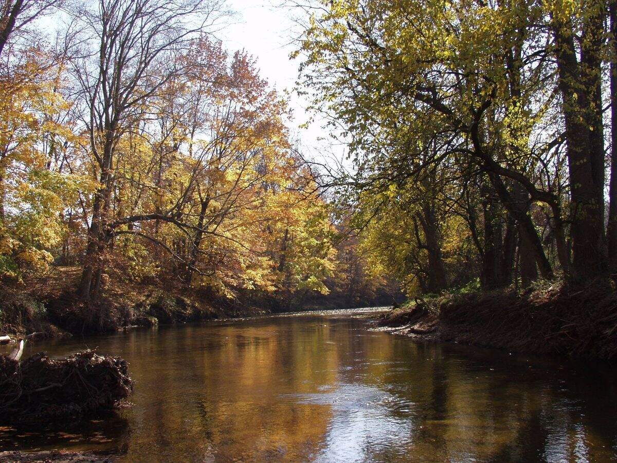 mysteries-of-delawares-white-clay-springs