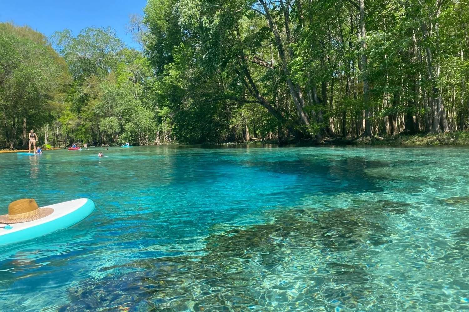 Mysteries-Of-Florida8217s-Blue-Spring mysteries-of-floridas-blue-spring