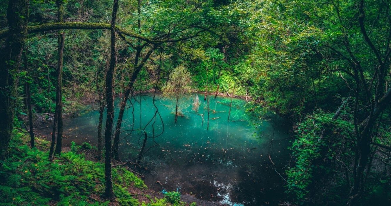 Mysteries-Of-Florida8217s-Devil8217s-Millhopper-Lakes mysteries-of-floridas-devils-millhopper-lakes