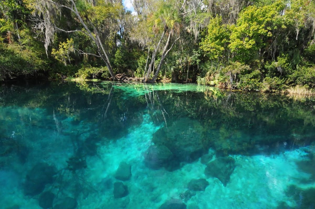 Mysteries-Of-Florida8217s-Rainbow-Springs mysteries-of-floridas-rainbow-springs