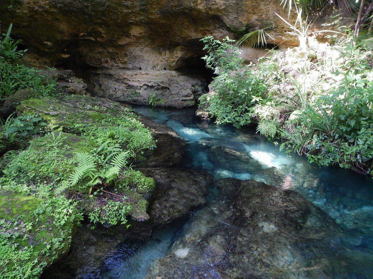 mysteries-of-floridas-rock-springs-run