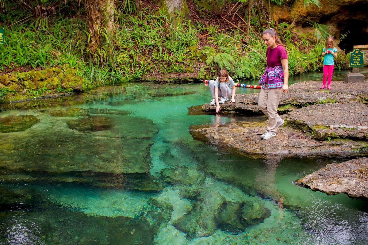 Mysteries-Of-Florida8217s-Rock-Springs-Waters mysteries-of-floridas-rock-springs-waters